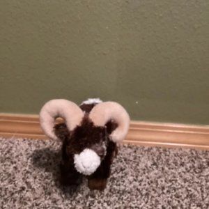 Douglas Climber Big Horn Sheep 7” New with tags 2015 plush Sheep Cute Super Soft